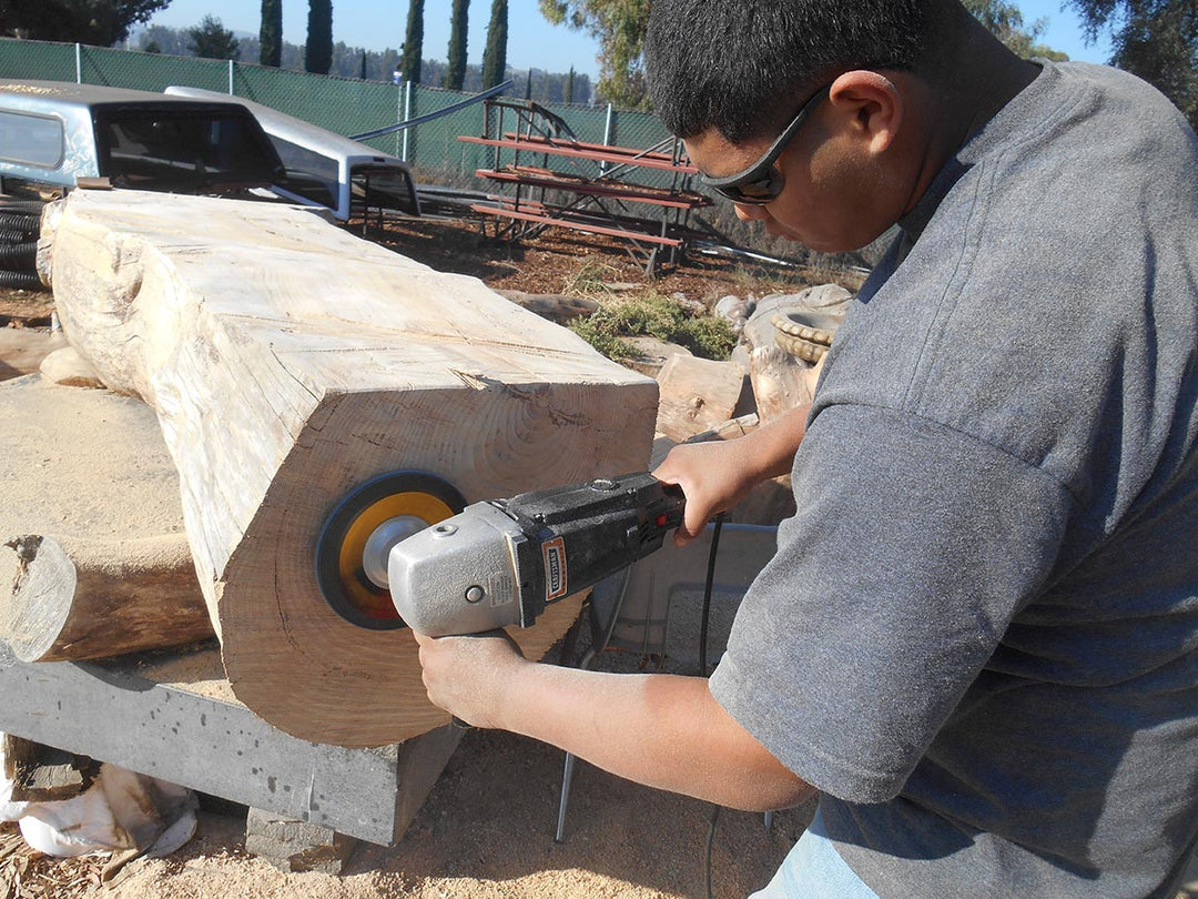Landscape Students Find New Life for Fallen Trees