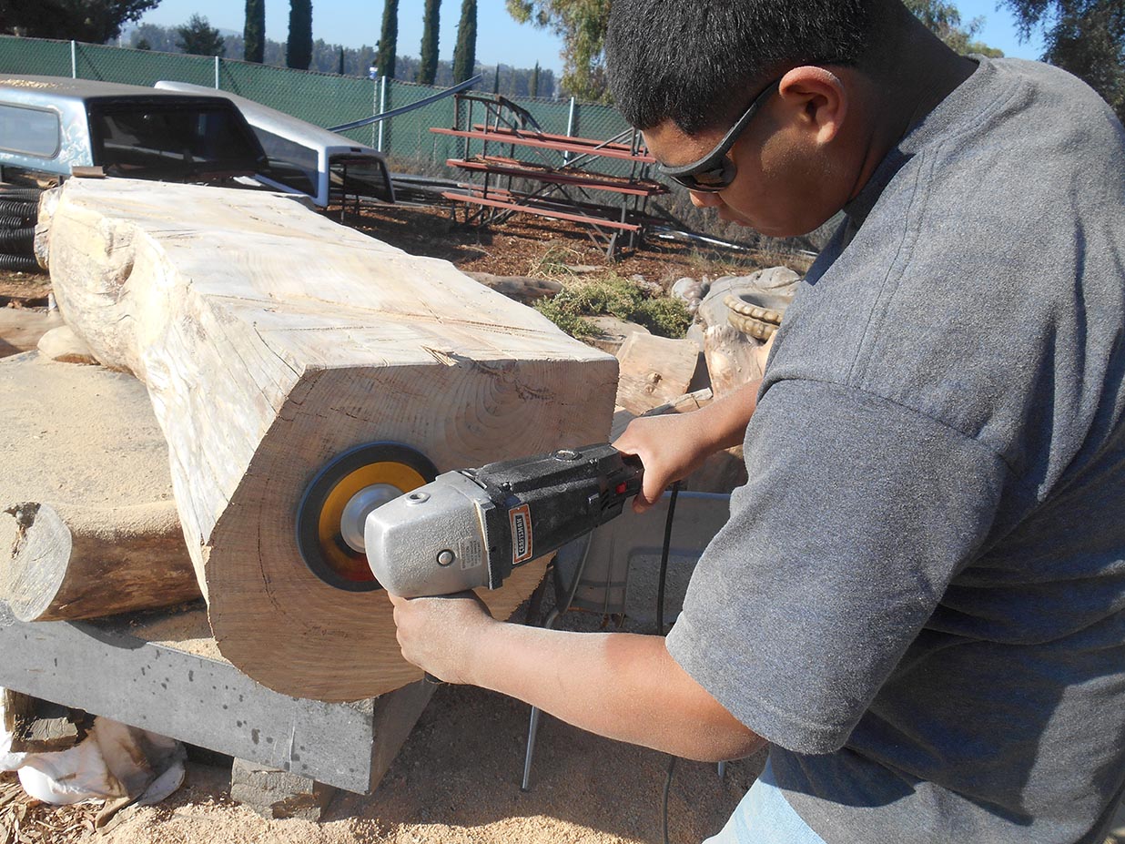 Landscape Students Find New Life for Fallen Trees